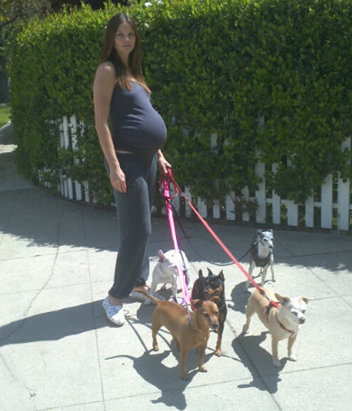 Twitter, Gravid, Bild, Mini Andén, Barn, Bebis, Mage